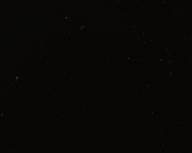 Gloss Black | TK53-5D9